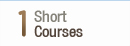 Short Course
